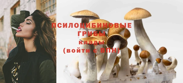 соль ск Алексин
