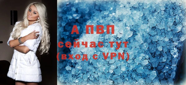 соль ск Алексин