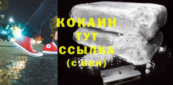 соль ск Алексин